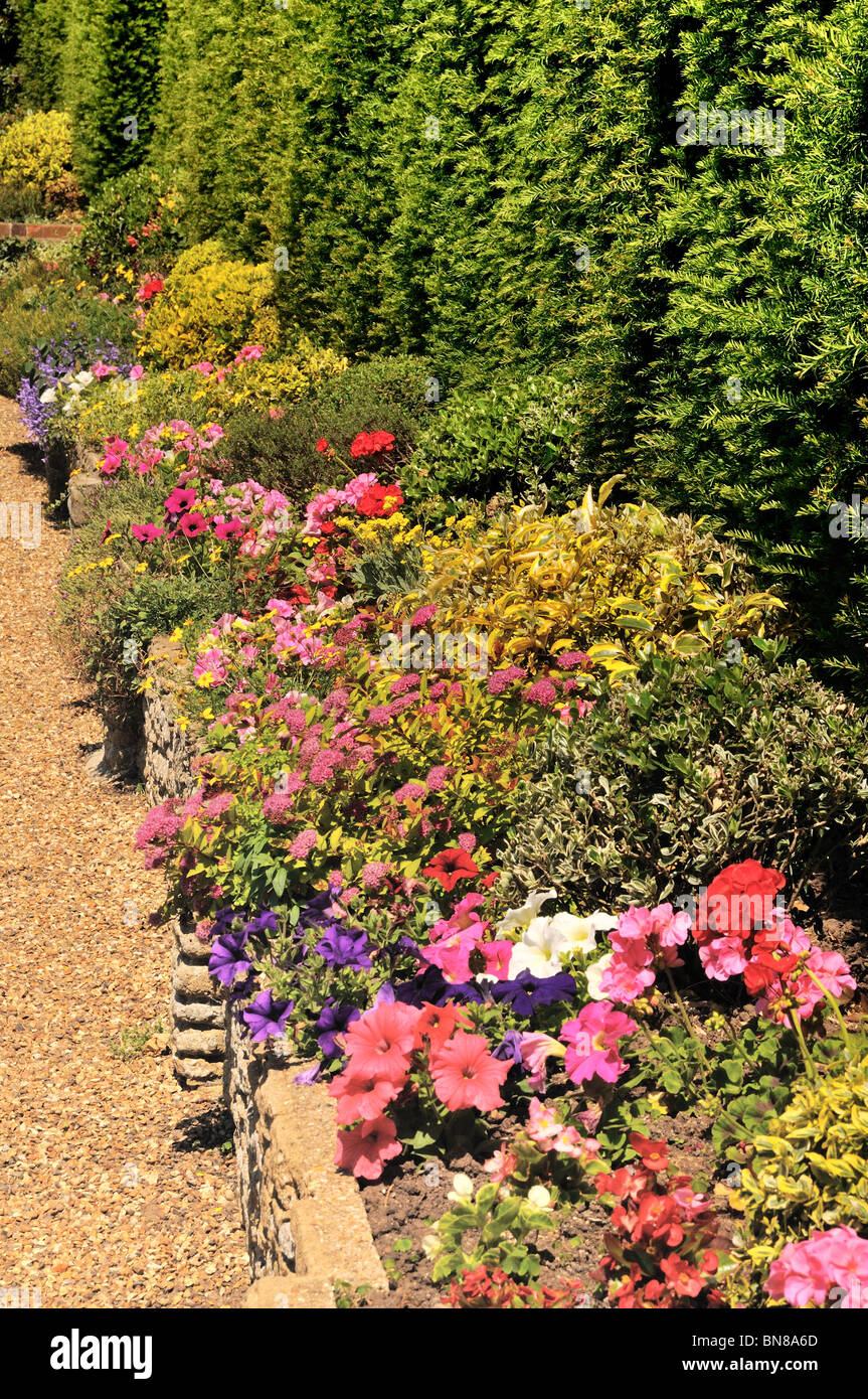 Floración verano frontera en un jardín inglés Foto de stock