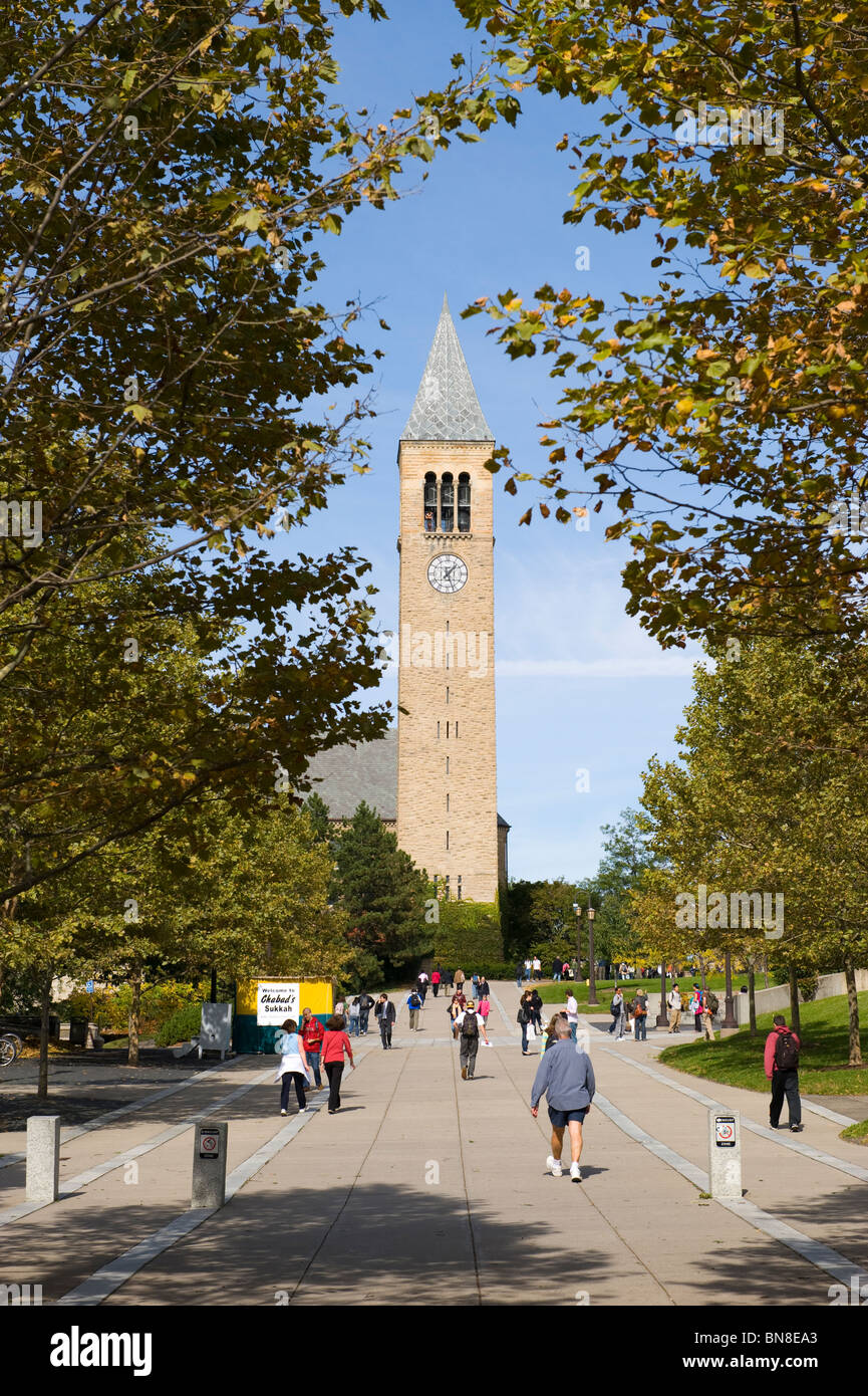 Torre McGraw y campanillas de Campus de la Universidad Cornell de Ithaca región de Finger Lakes de Nueva York Foto de stock