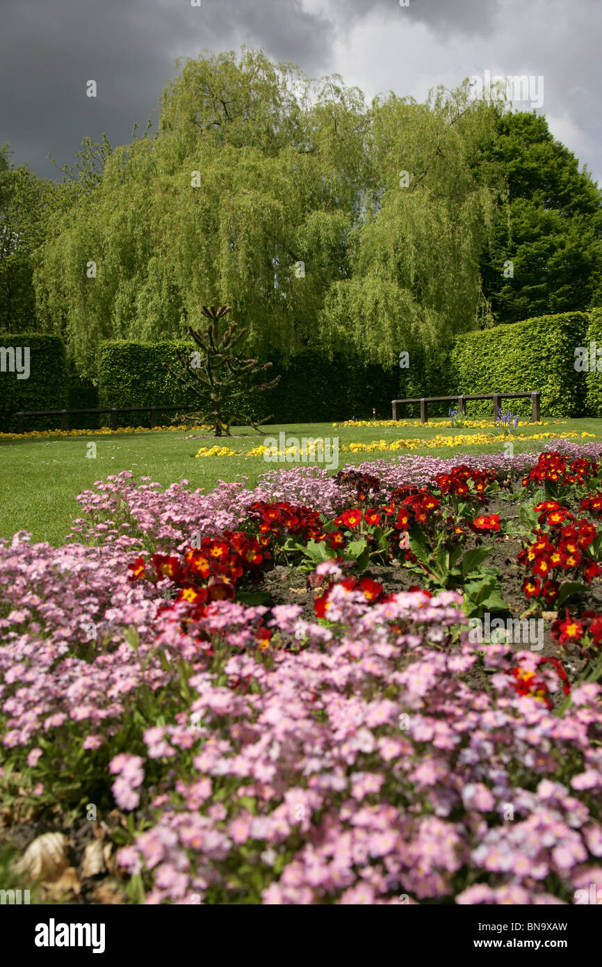 Jardines Walkden, venta, Inglaterra. Primavera plantas de jardín dentro del jardín de recuerdos Walkden jardines. Foto de stock