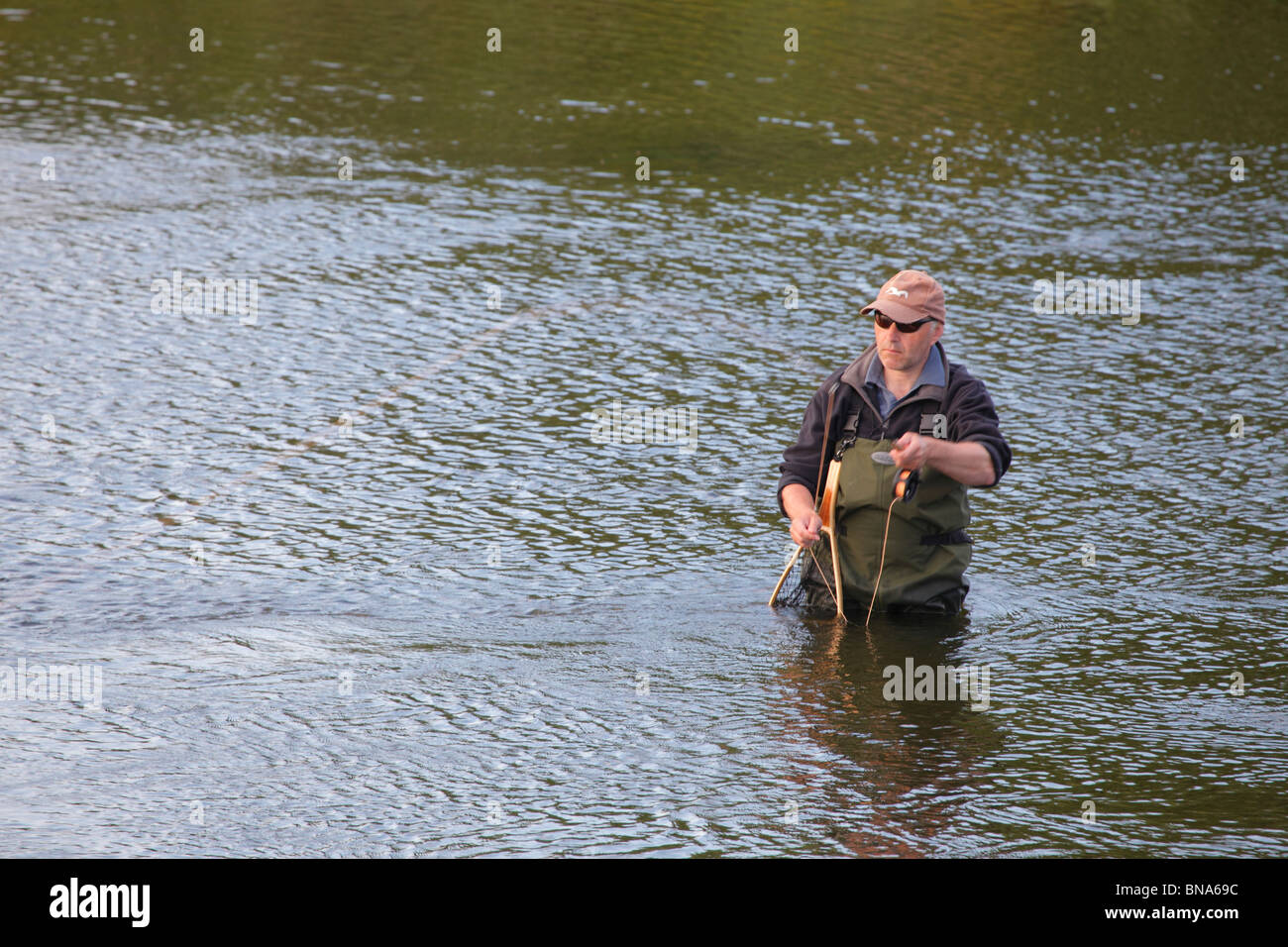 Pescador con mosca vadeando en el río Eden la pesca de la trucha de mar cerca de Carlisle, Cumbria, Inglaterra, Reino Unido. Foto de stock