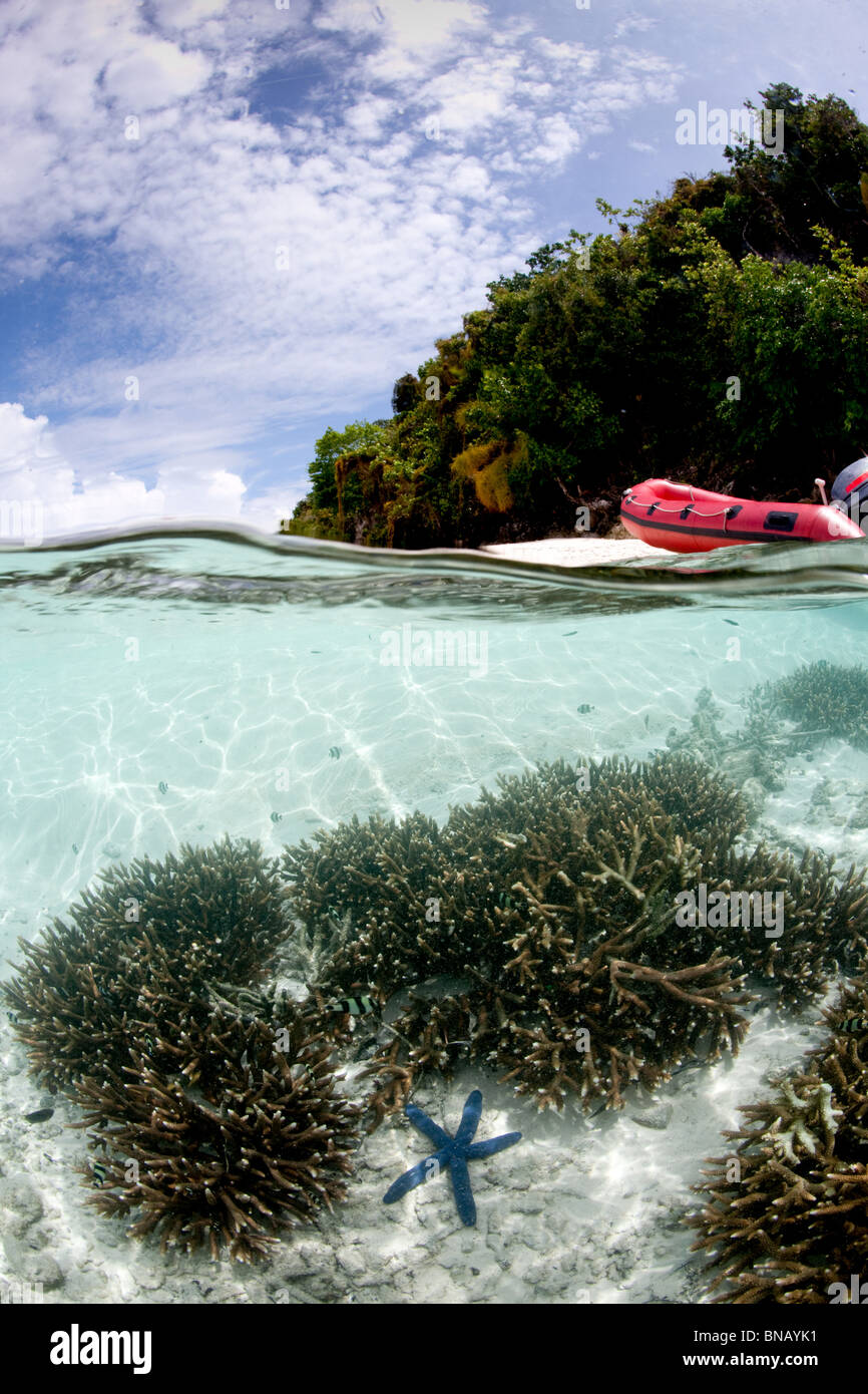 Over/under con la isla. Foto de stock