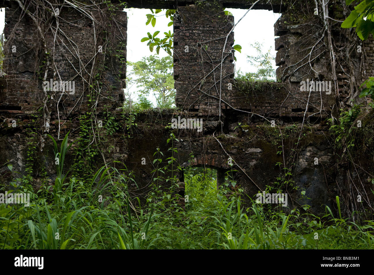 La Isla Bunce, Sierra Leona, las ruinas del castillo de esclavos británico más grande de África Occidental Foto de stock