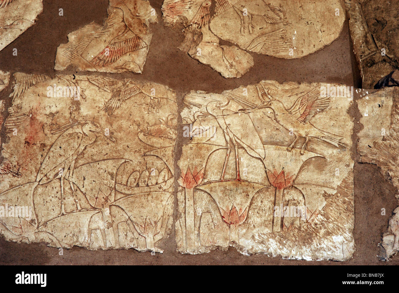 Los relieves que representan la flora y la fauna a lo largo del río Nilo. De las paredes del templo de Hatshepsut. Egipto. Foto de stock