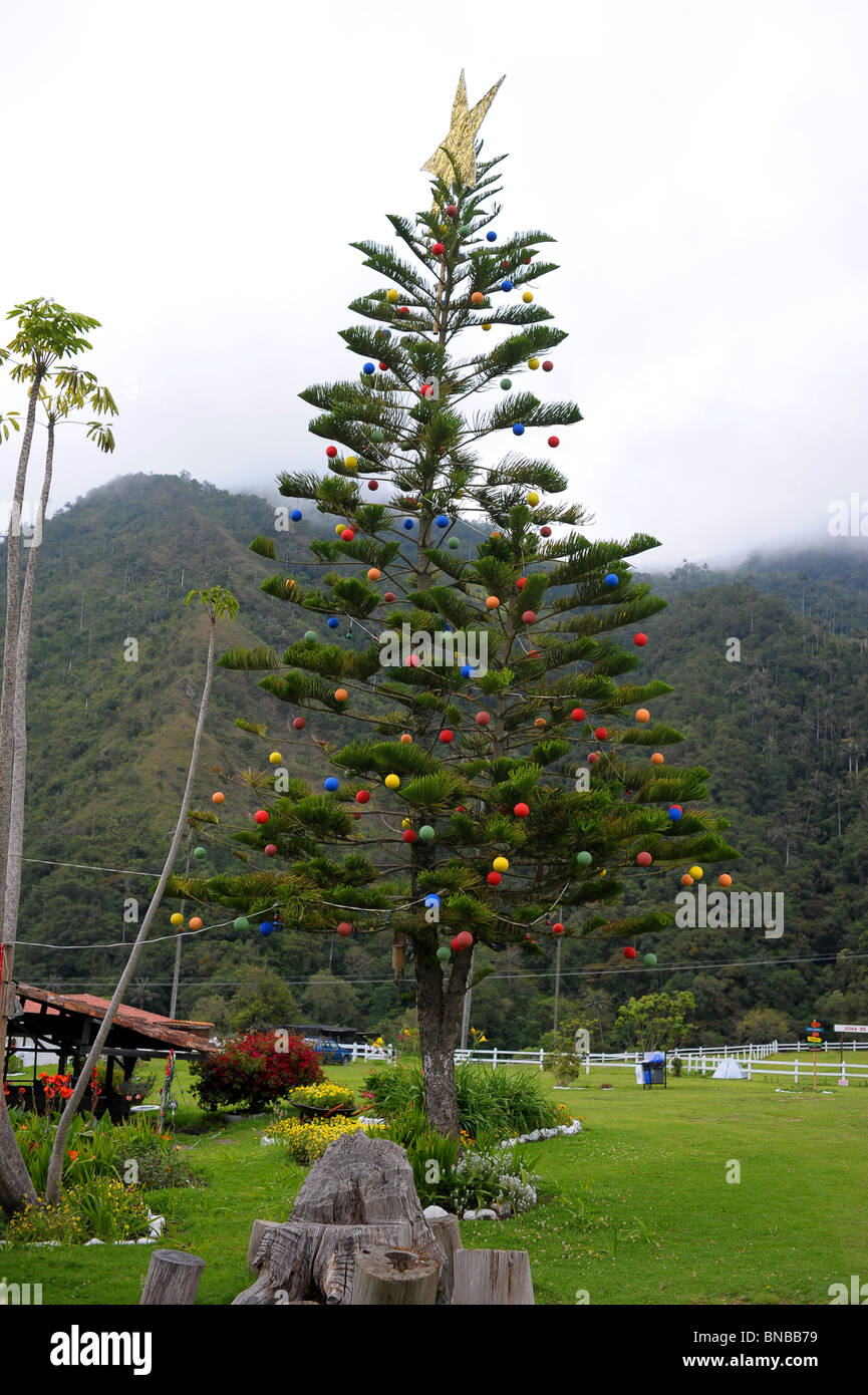 Árbol de Navidad en el campo, rodeado de verdes montañas. Salento, Colombia,  Sur America Fotografía de stock - Alamy