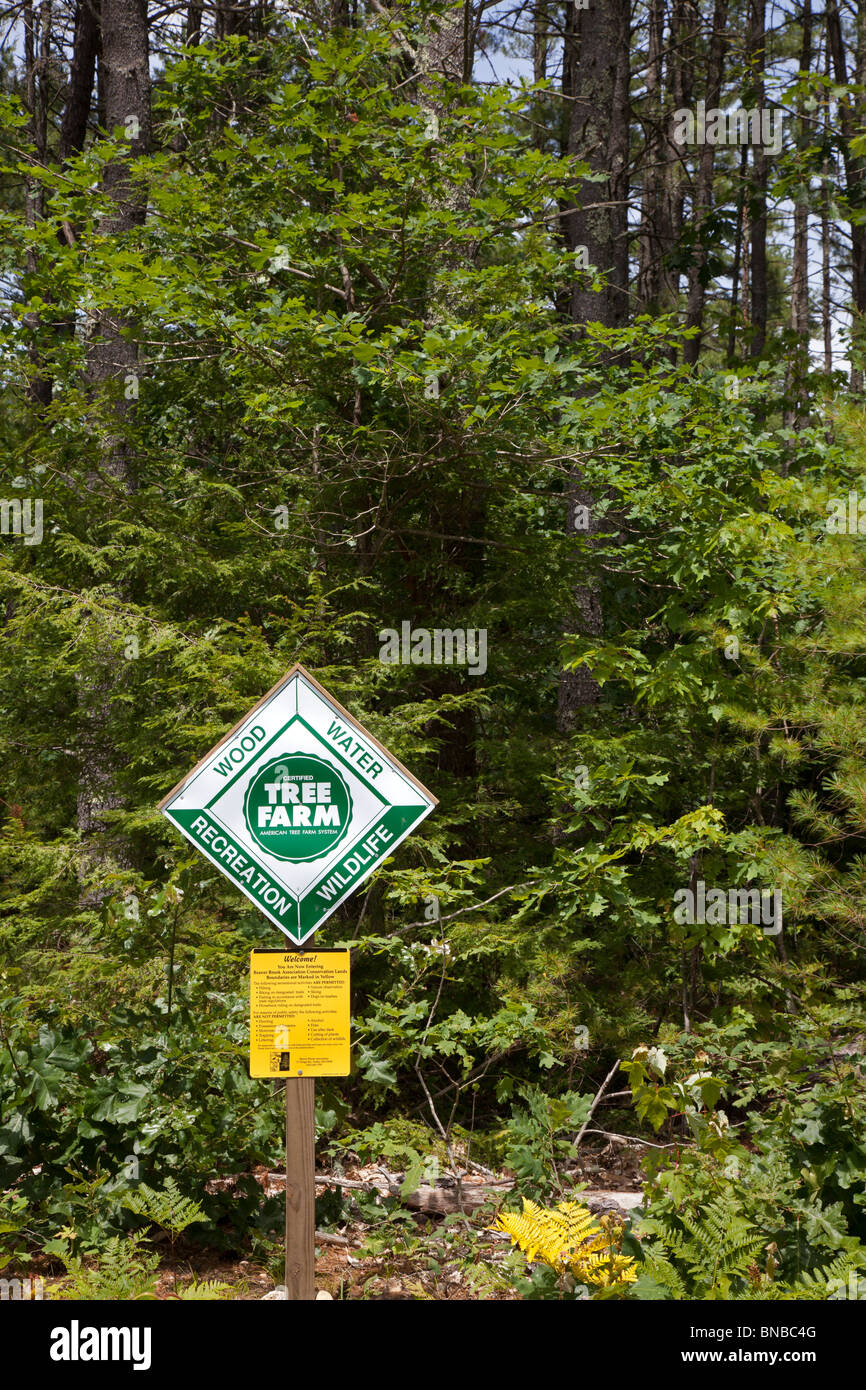 Hollis, New Hampshire - un árbol granja abierta para uso recreativo. Foto de stock