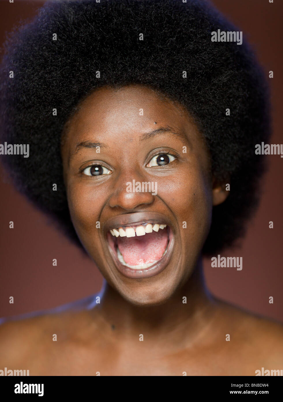 Close-up retrato de alegre joven negra sonriente con gran pelo afro retro  Fotografía de stock - Alamy