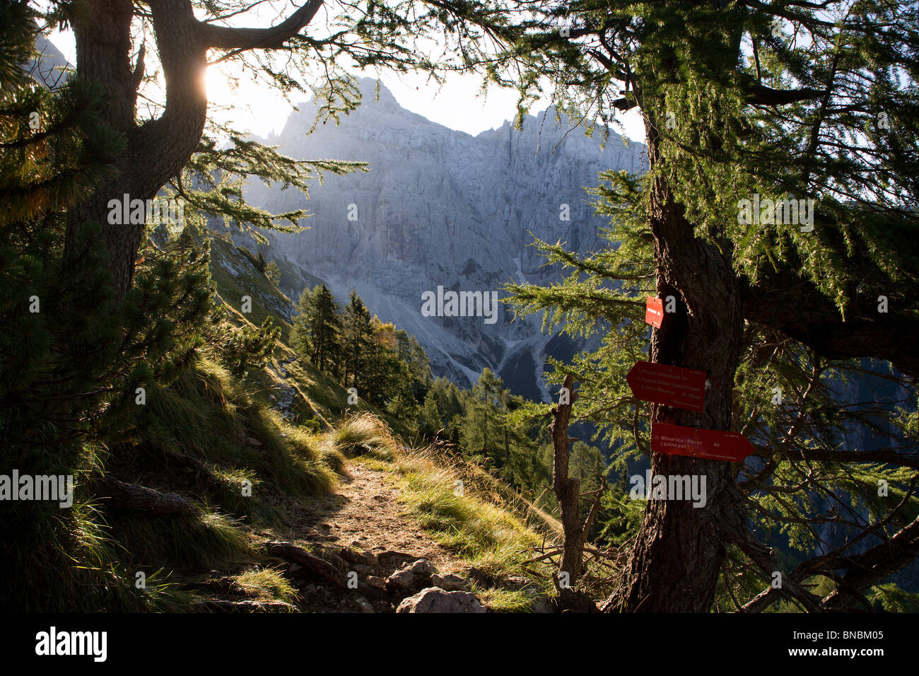 El paisaje de los Alpes en Eslovenia - Retroiluminación - Alpes Julianos Foto de stock