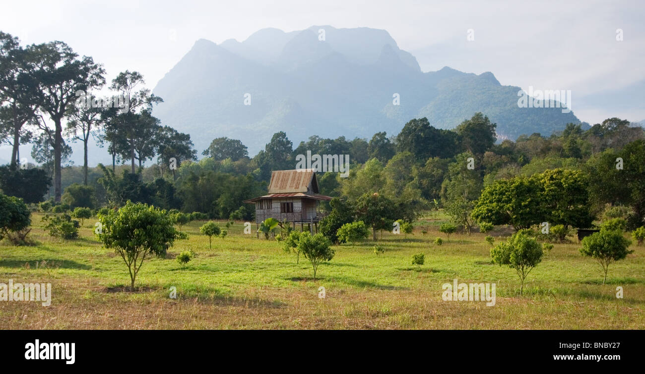 Tradicional casa de bambú sobre pilotes, al norte de Tailandia Foto de stock