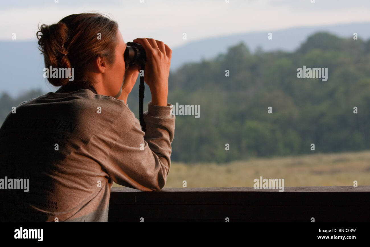 Mujer birdwatching desde una torre mirador en el Parque Nacional de Khao Yai, Tailandia Foto de stock