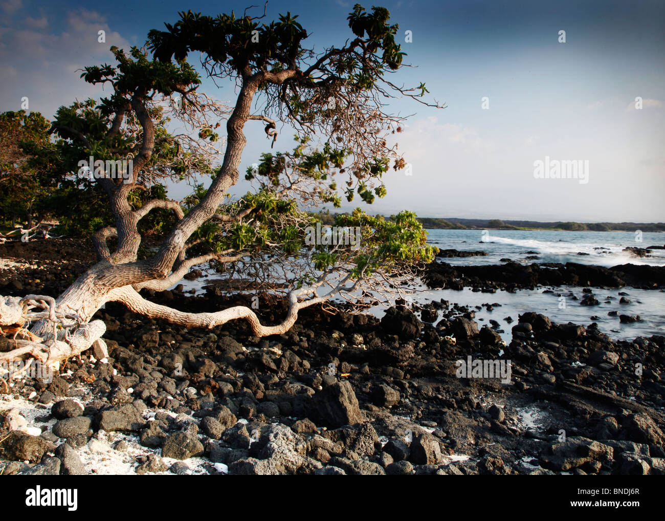 La Isla de Hawaiʻi, también llamada la Isla Grande o Isla Hawaiʻi rocas Sunset Foto de stock