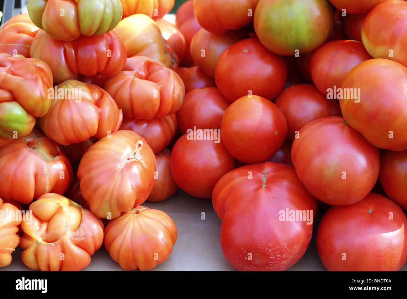 Los tomates en el mercado de alimentos vegetales de tomate Raff desde España Foto de stock