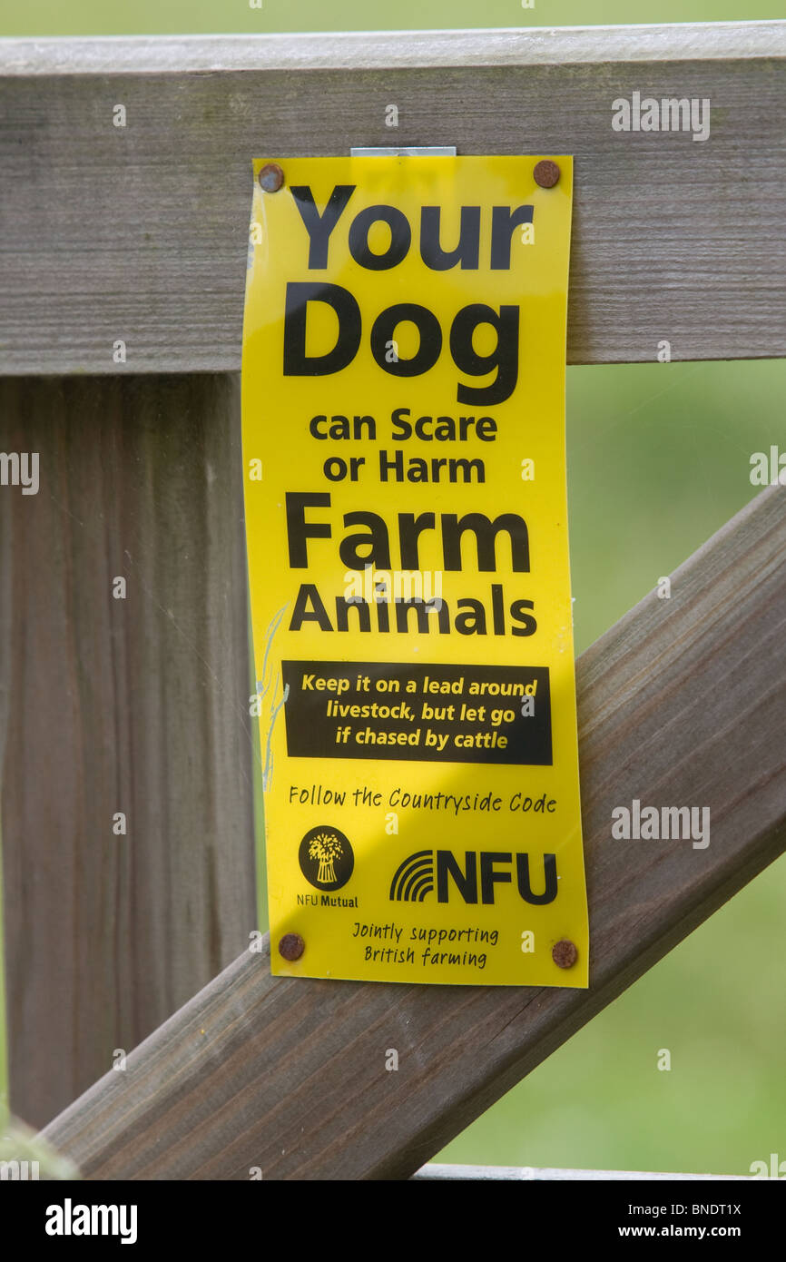Su perro puede asustar o animales de granja hatm señal de advertencia Foto de stock