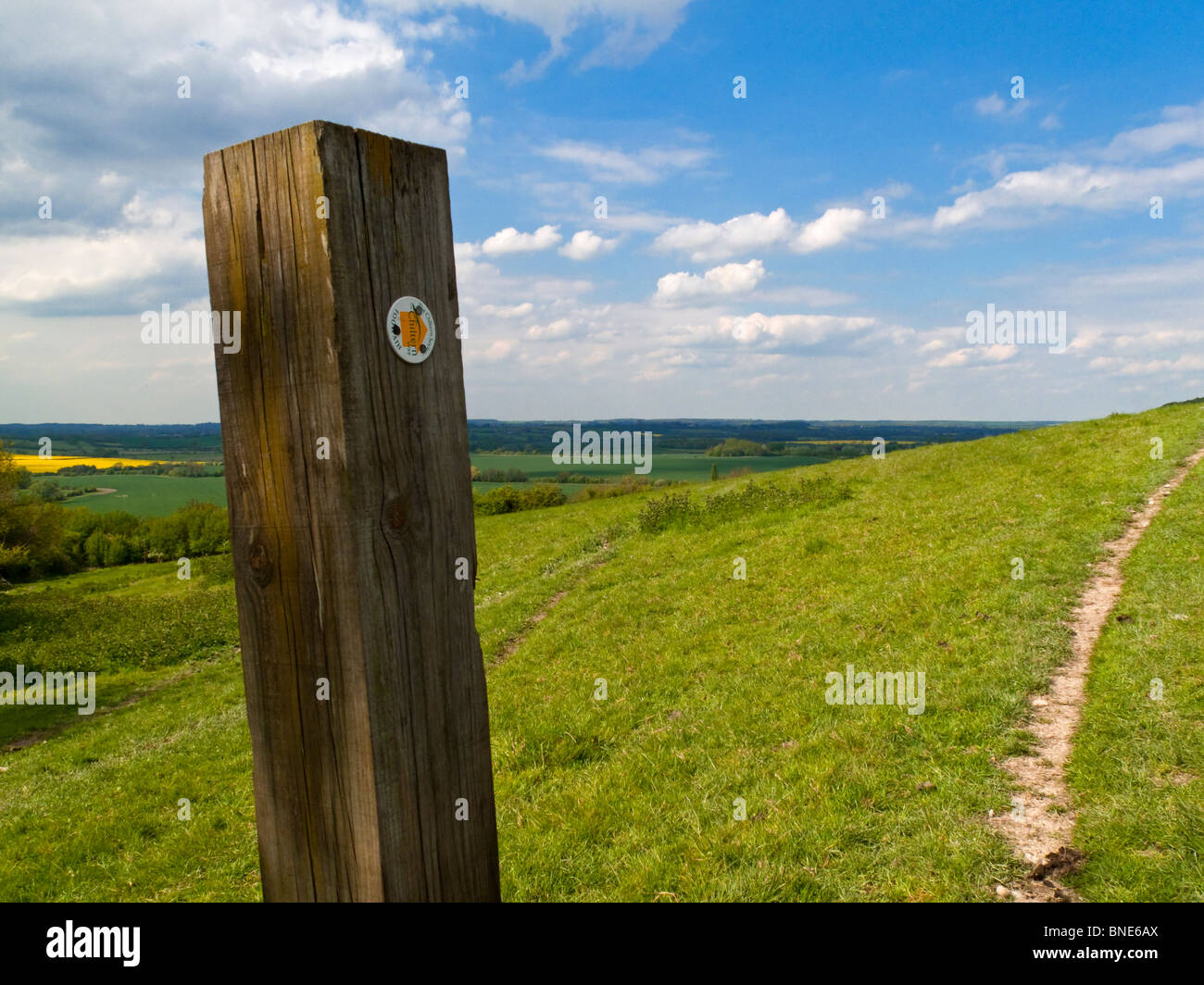 Letrero de madera en la forma de Chiltern sendero de larga distancia en Bedforshire sur de Inglaterra Foto de stock