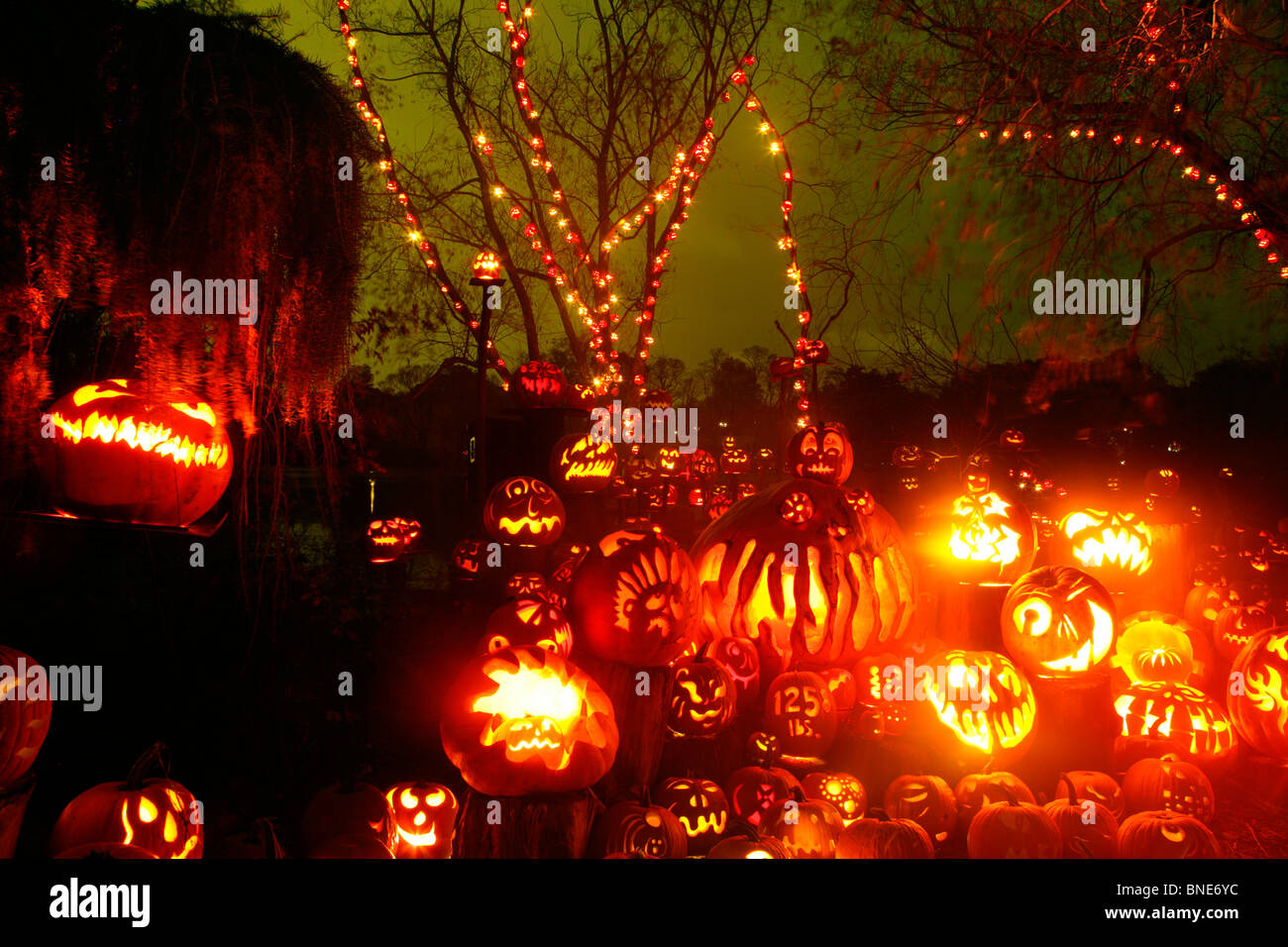 Jack o' lanterns iluminados durante la noche, Roger Williams Park Zoo, Providence, Rhode Island, EE.UU. Foto de stock