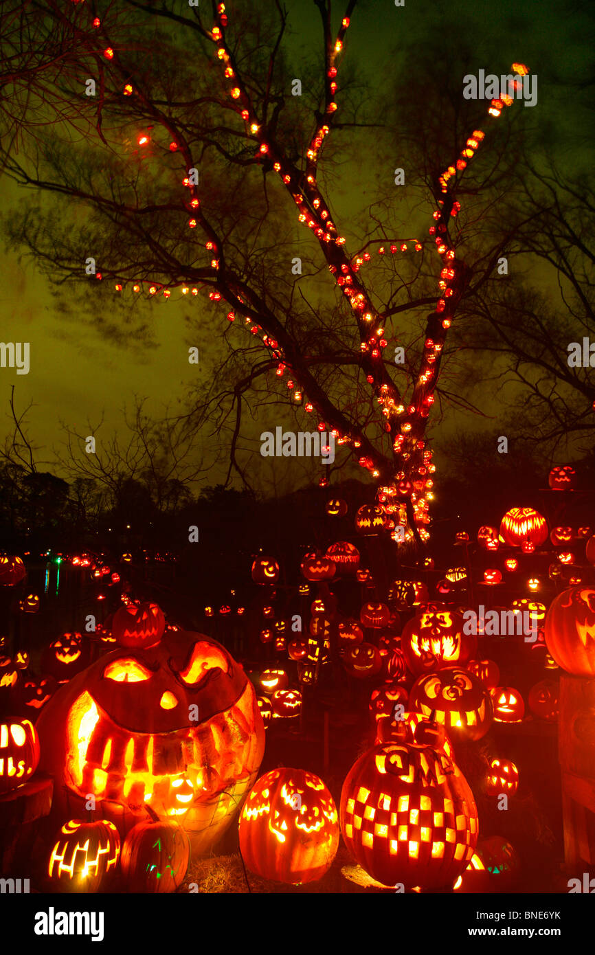 Jack o' lanterns iluminados durante la noche, Roger Williams Park Zoo, Providence, Rhode Island, EE.UU. Foto de stock