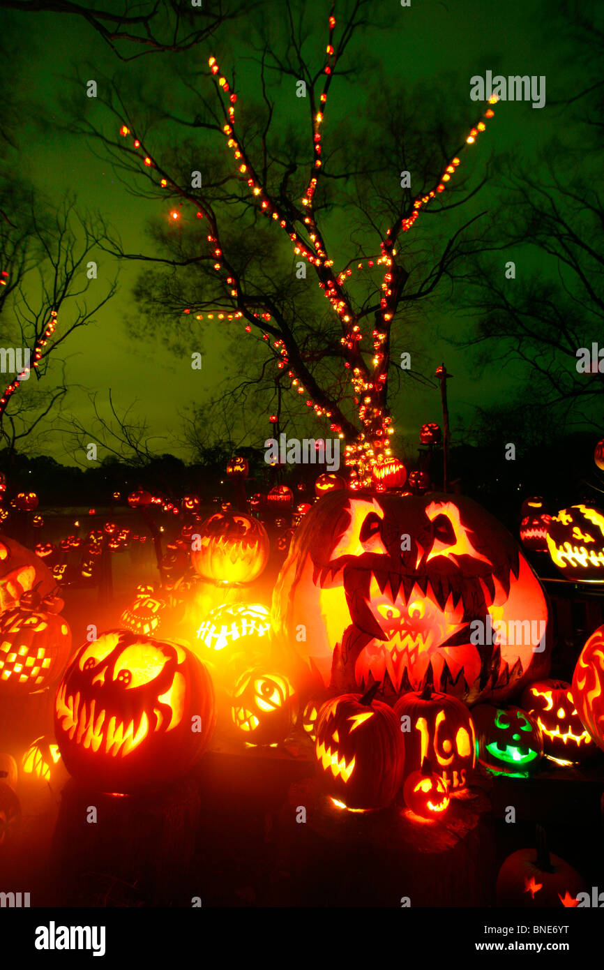 Jack o' lanterns iluminados durante la noche, Roger Williams Park Zoo, Providence, Rhode Island, EE.UU. Foto de stock