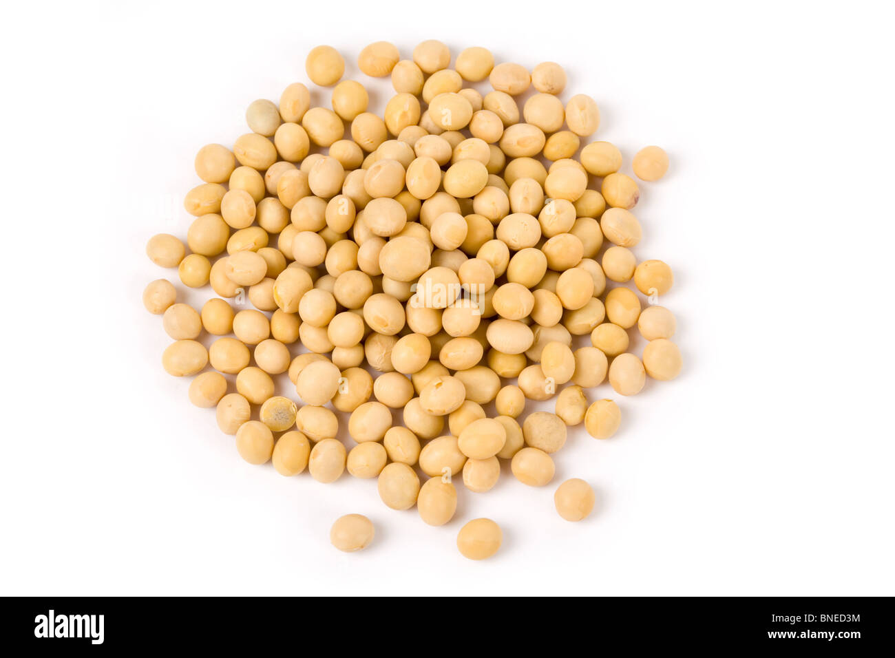 Categoría «Grano de soya» de fotos e ilustraciones de stock, 744 imágenes