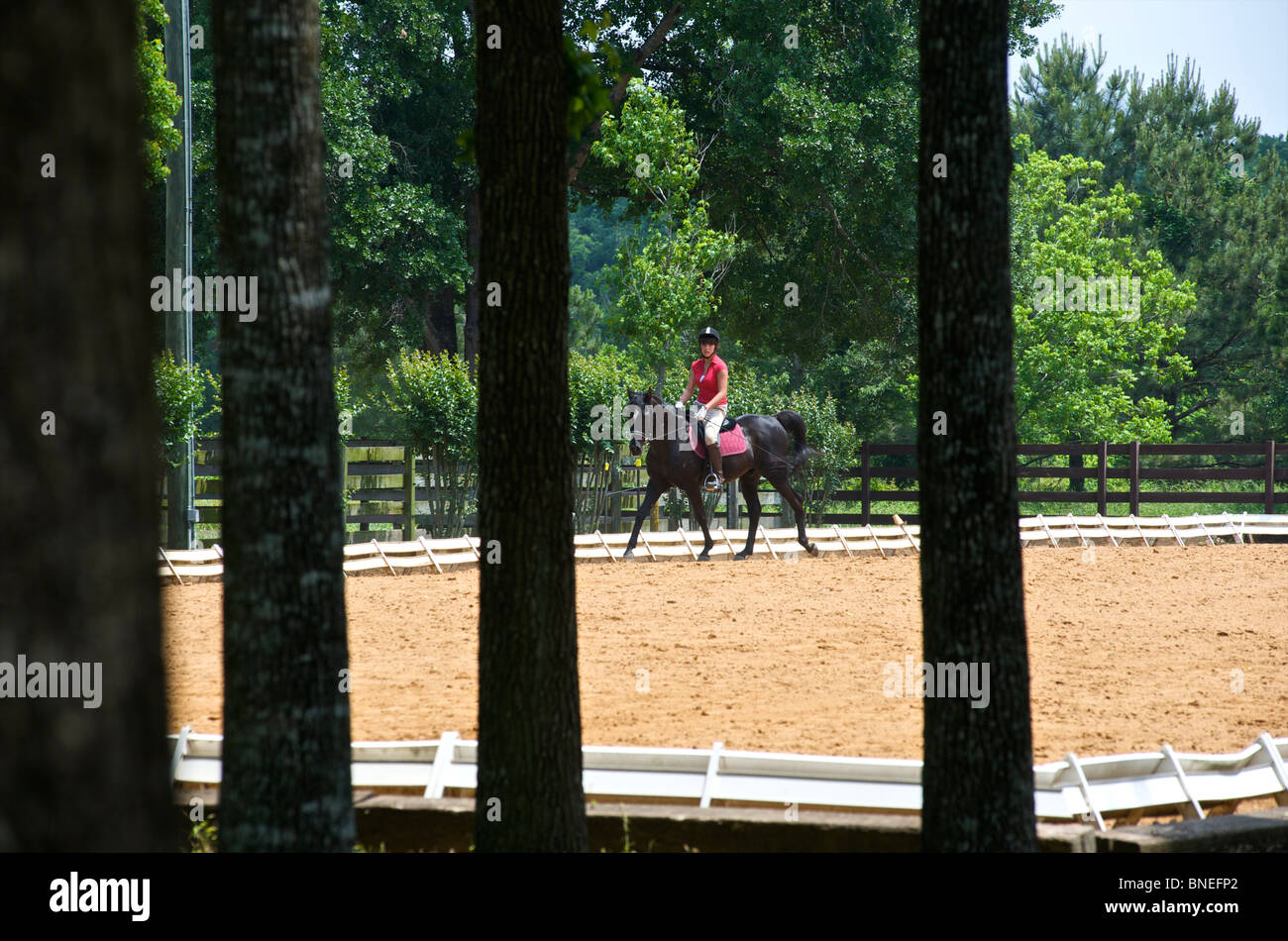 Adolescente en caballo en manege en Texas, EE.UU. Foto de stock