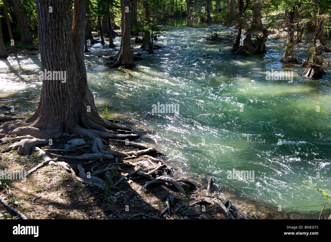 Las inundaciones fluviales en su banco en Texas Hill Country, EE.UU. Foto de stock