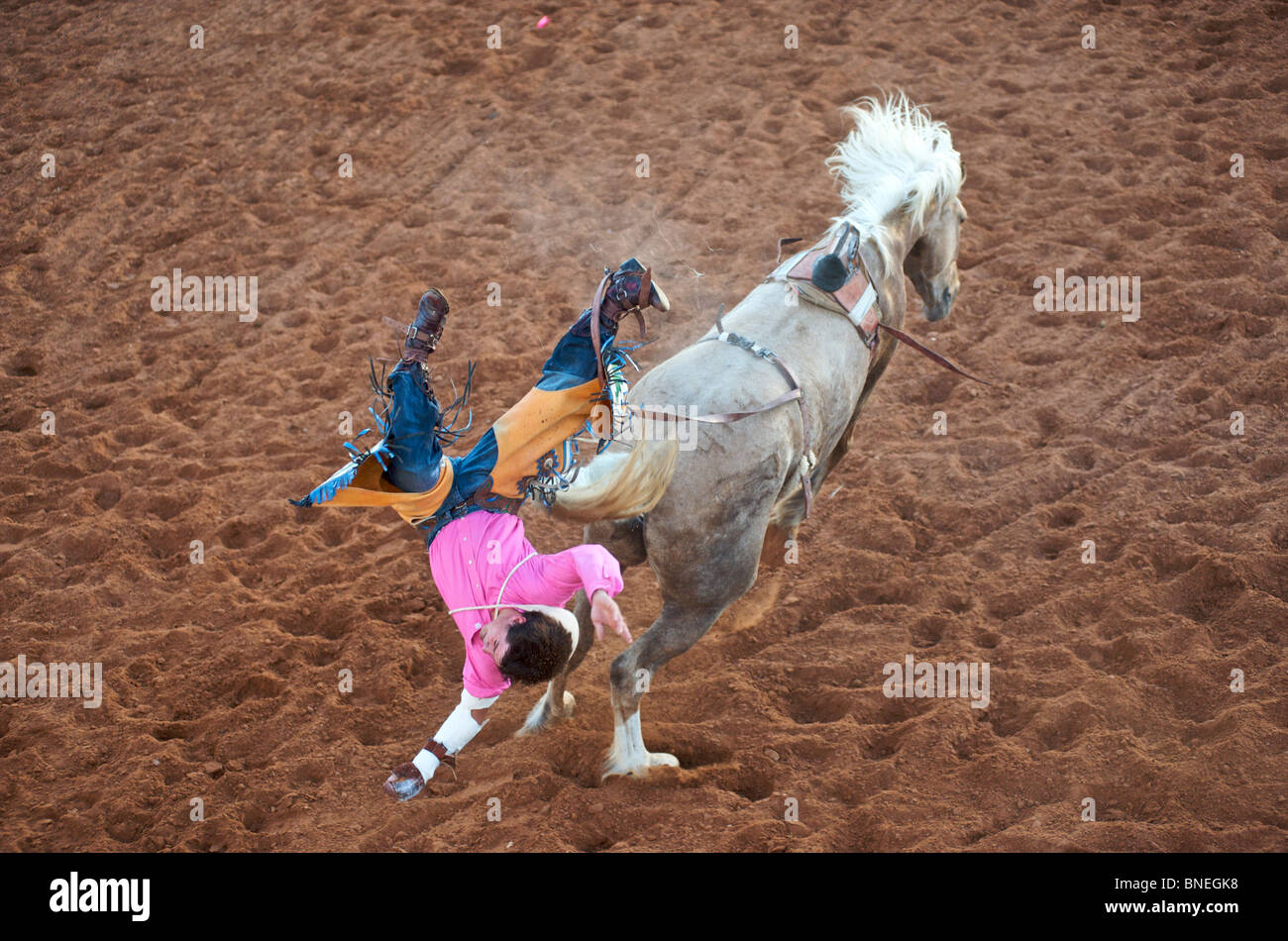 Miembro de cowboy Rodeo PRCA cayendo desde la parte posterior del caballo en Smalltown Bridgeport, Texas, EE.UU. Foto de stock