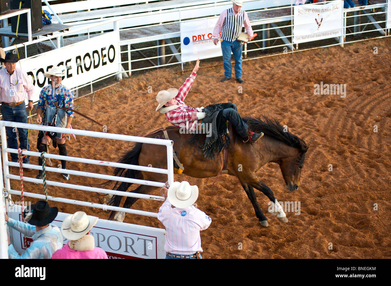 Caballo cowboy rodeo intentando lanzar miembro de PRCA desde su espalda en Smalltown Bridgeport Texas, EE.UU. Foto de stock