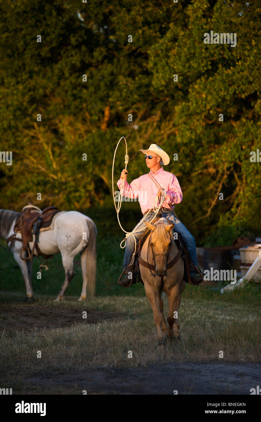 Cowboy a caballo entre bastidores durante la PRCA Rodeo evento en Bridgeport Texas, EE.UU. Foto de stock