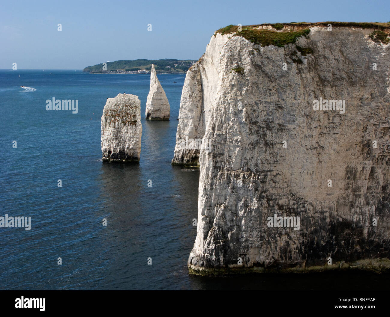 Los pináculos y agujas, Rock, costa de Dorset, Reino Unido Foto de stock