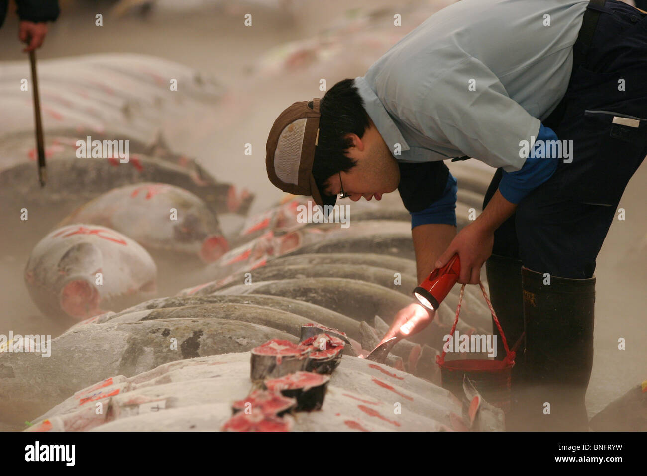 Las subastas de atún en el mayor mercado de pescado de Tsukiji, el mayor mercado de pescado en el mundo, en Tokio, Japón. Foto de stock