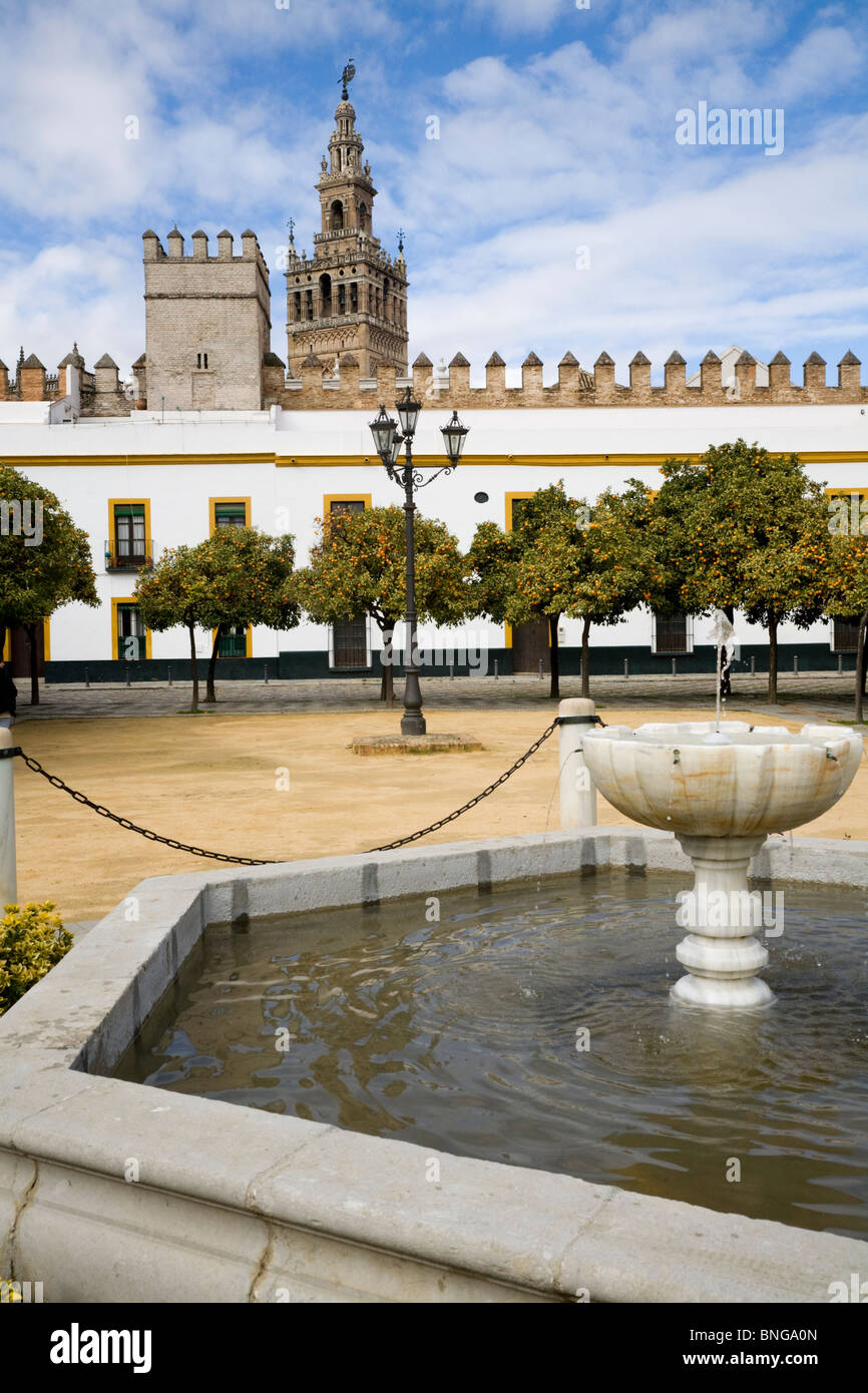 Torre de la Giralda desde junto a la fuente de agua / estanque en el Patio de Banderas / Plaza Patio de Banderas, Sevilla / Sevilla. España. Foto de stock