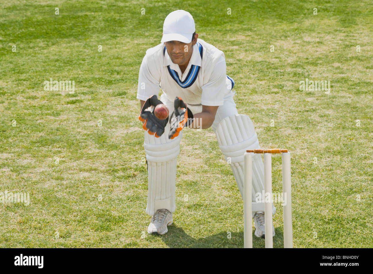 Cricket wicketkeeper agarrar una pelota detrás de tocones Foto de stock