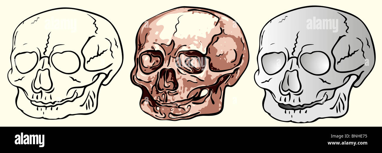Imagen de los diversos bizarre cráneos humanos Foto de stock