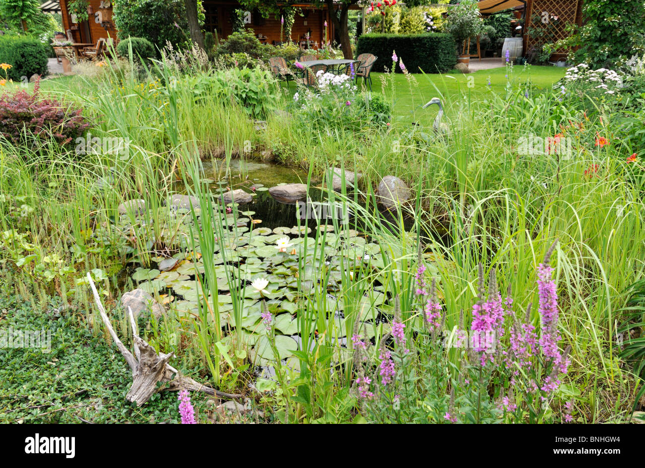 Jardín con estanque de nenúfares (Nymphaea). diseño: Marianne y detlef lüdke Foto de stock
