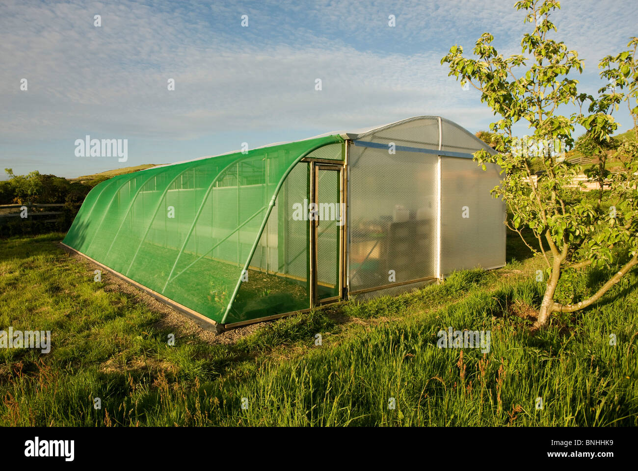 Kedar polytunnel invernadero con arriostramiento en gran jardín exterior  Fotografía de stock - Alamy