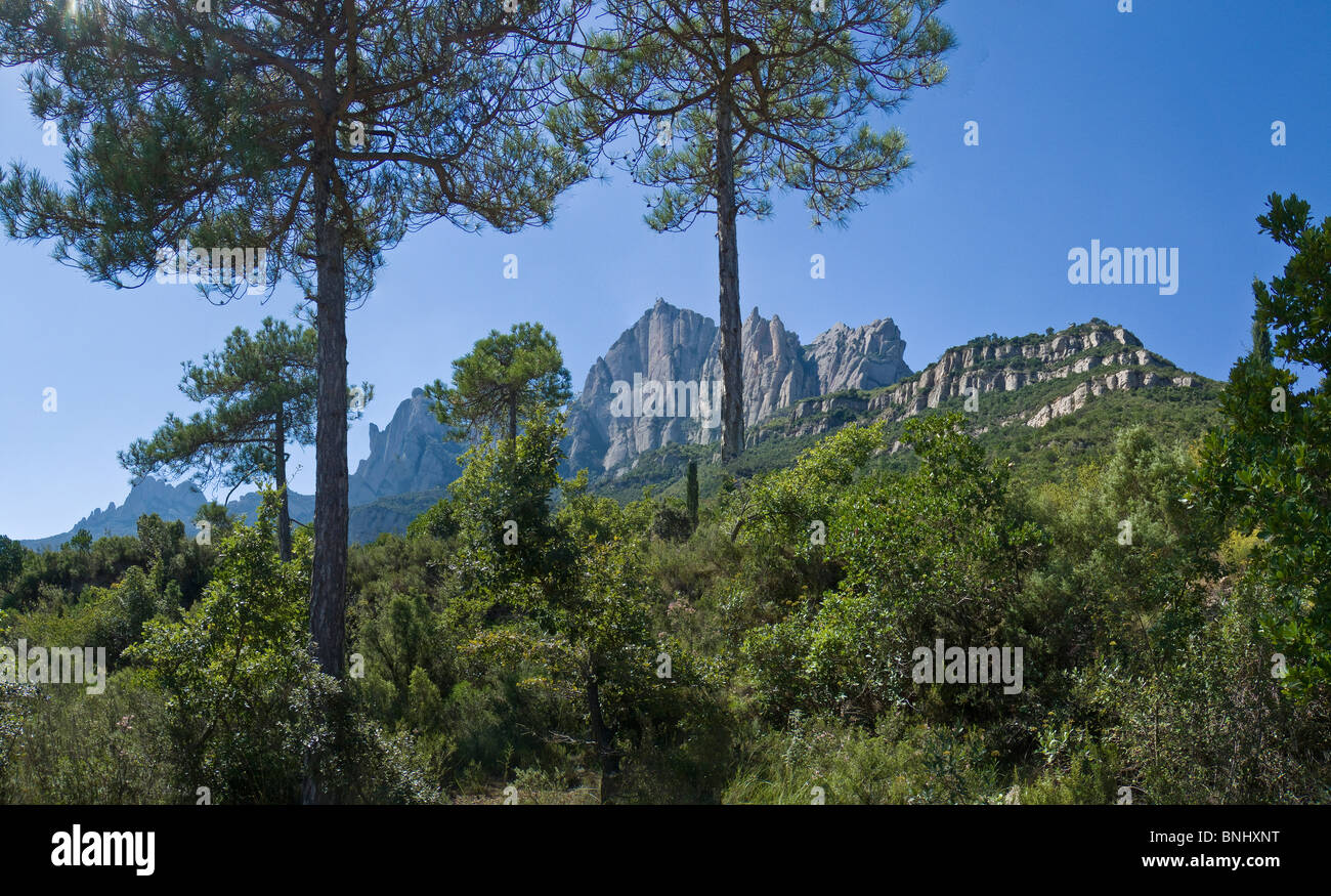 España Cataluña costa mediterránea a la montaña de Montserrat la madera  natural de los bosques de las montañas paisaje paisaje de árboles  Fotografía de stock - Alamy