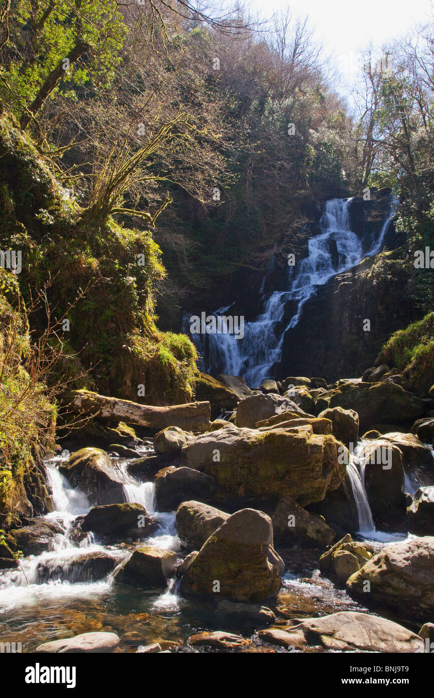 La cascada Torc Anillo de Kerry Killarney Co. en sol de primavera County Munster República de Irlanda Eire Europa Foto de stock