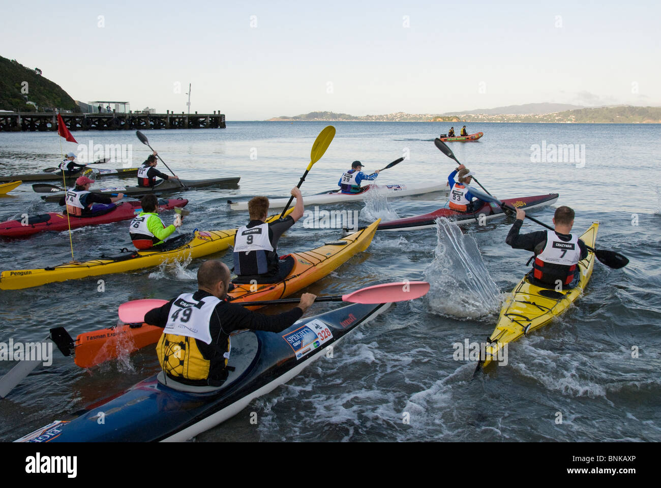 Inicio de la carrera de Kayak, Días Bay, Eastbourne, Wellington, en la Isla  del Norte, Nueva Zelanda Fotografía de stock - Alamy