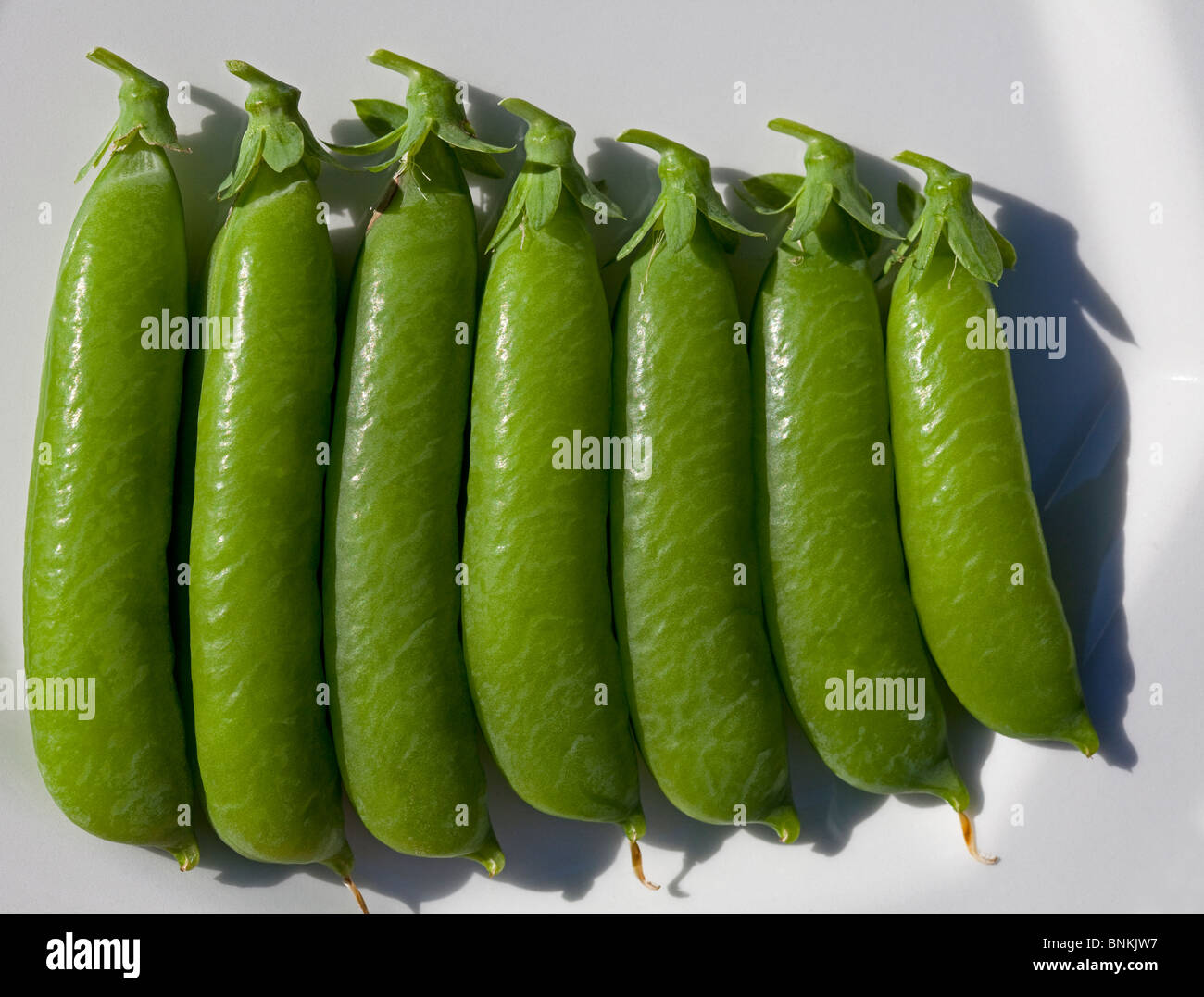 Siete nuevas vainas de guisantes verdes maduras en una placa blanca. Foto de stock