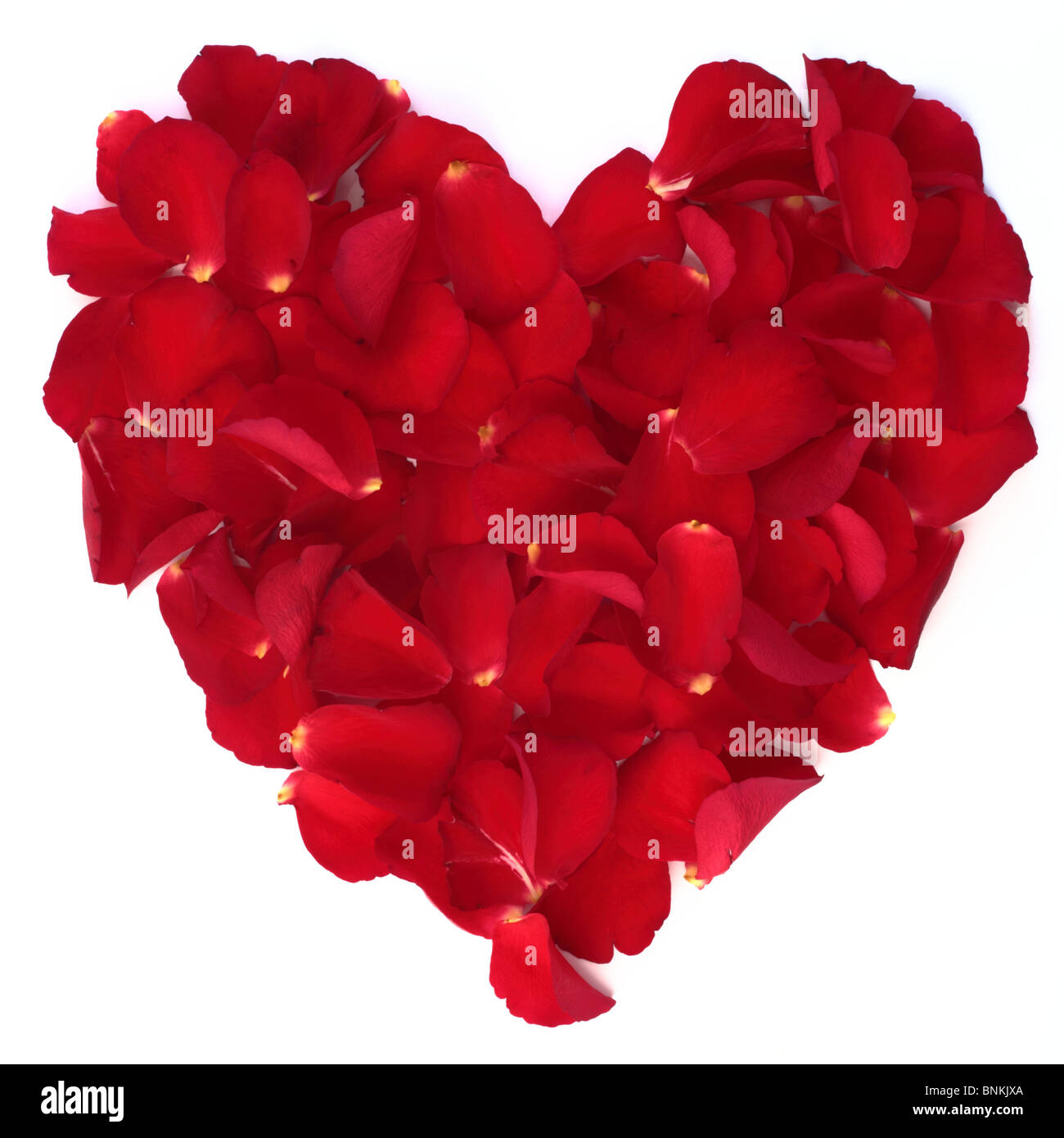 Pétalos de rosas rojas en forma de corazón Foto de stock