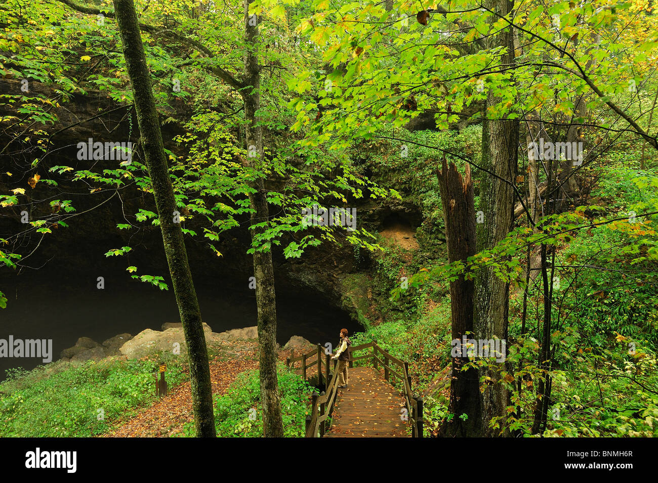 Persona mujer escalera de plataforma de visualización permanente Maquoketa Cuevas el Parque Estatal de Iowa USA madera verde naturaleza otoño América Norte Foto de stock