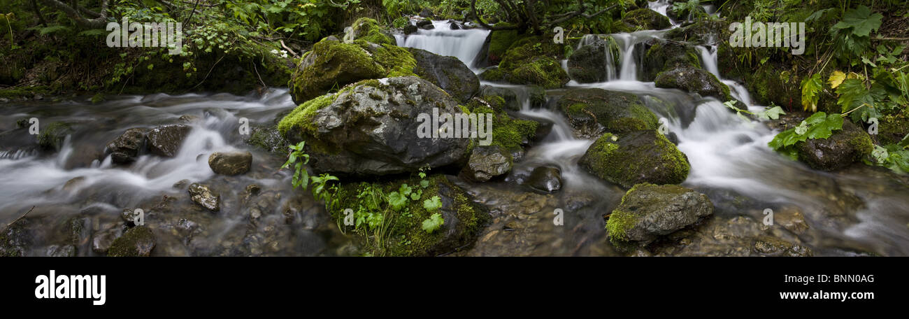 Falls Creek enmarcadas por verdes vegitation en Alaska durante el verano Foto de stock