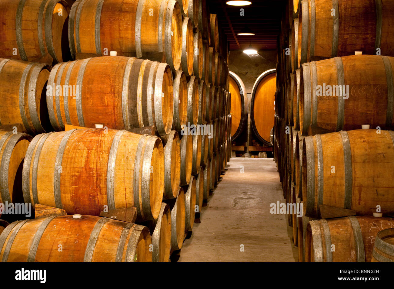 Barriles de vino en los Viñedos Sattui. Napa Valley, California. Foto de stock