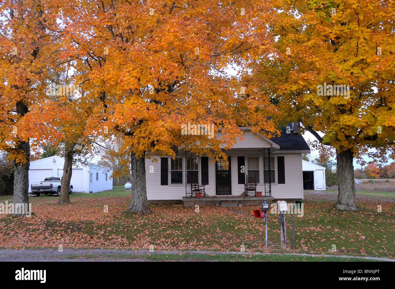 Colores de otoño colores de verano casa de árbol de sombra Kentucky USA Foto de stock