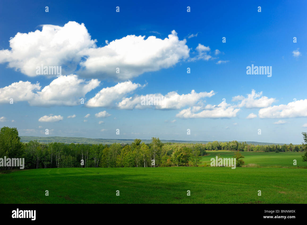 Prado Verde Ashland Wisconsin ESTADOS UNIDOS Estados Unidos de América los campos de nubes del cielo Foto de stock