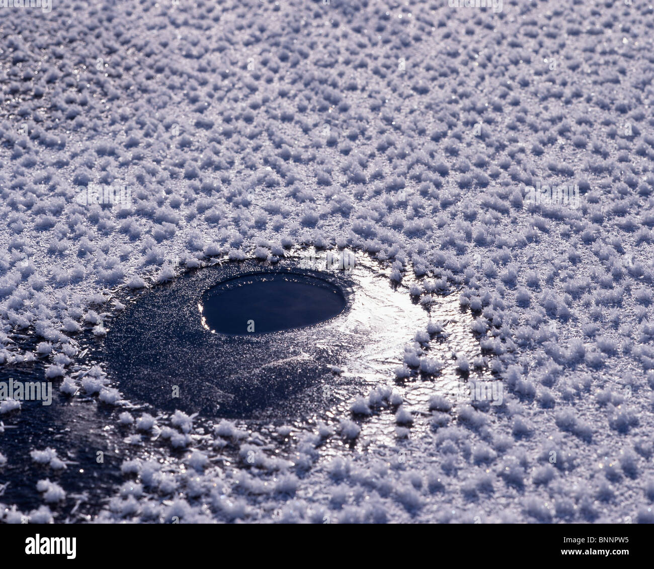 Ciem huevos en cuerpos de agua de la superficie de hielo congeló el lago mar agujero invierno nieve Suiza Foto de stock
