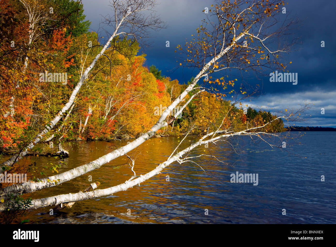 Dolby estanque EUA América Glen Ellis Falls Estados Unidos Maine Mar lago Lake Shore madereros forestales decoloración verano indio otoño Foto de stock