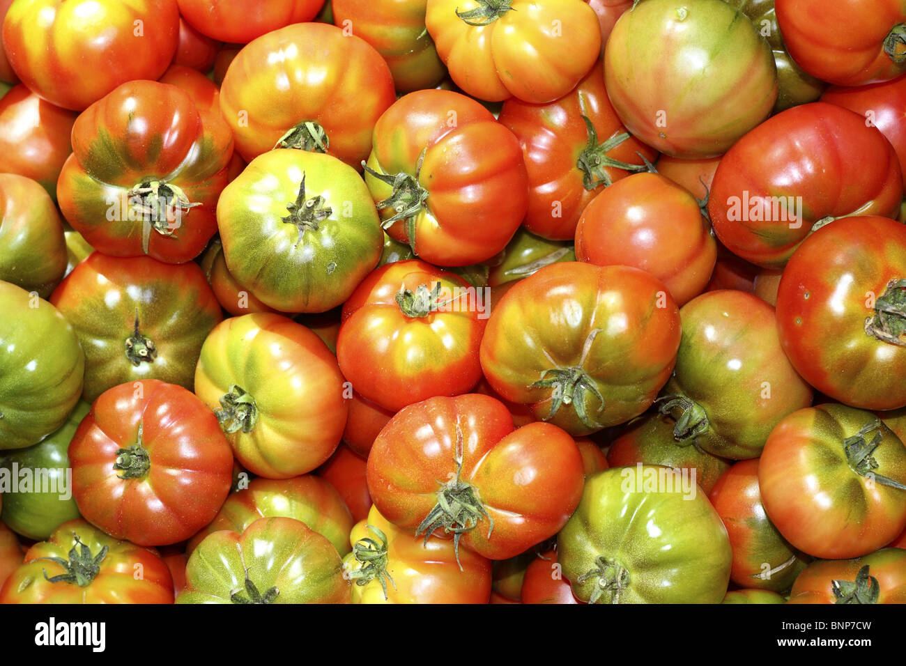 Los tomates en el mercado de alimentos vegetales de tomate Raff desde España Foto de stock