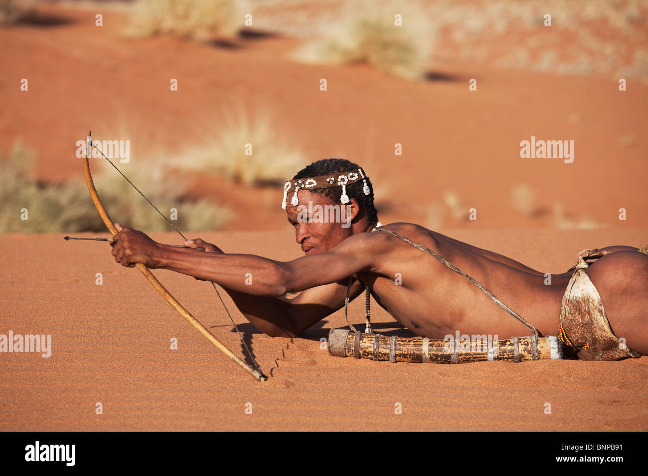 Bushman/pueblo San. San macho cazador armado con arco y flechas tradicionales. Foto de stock