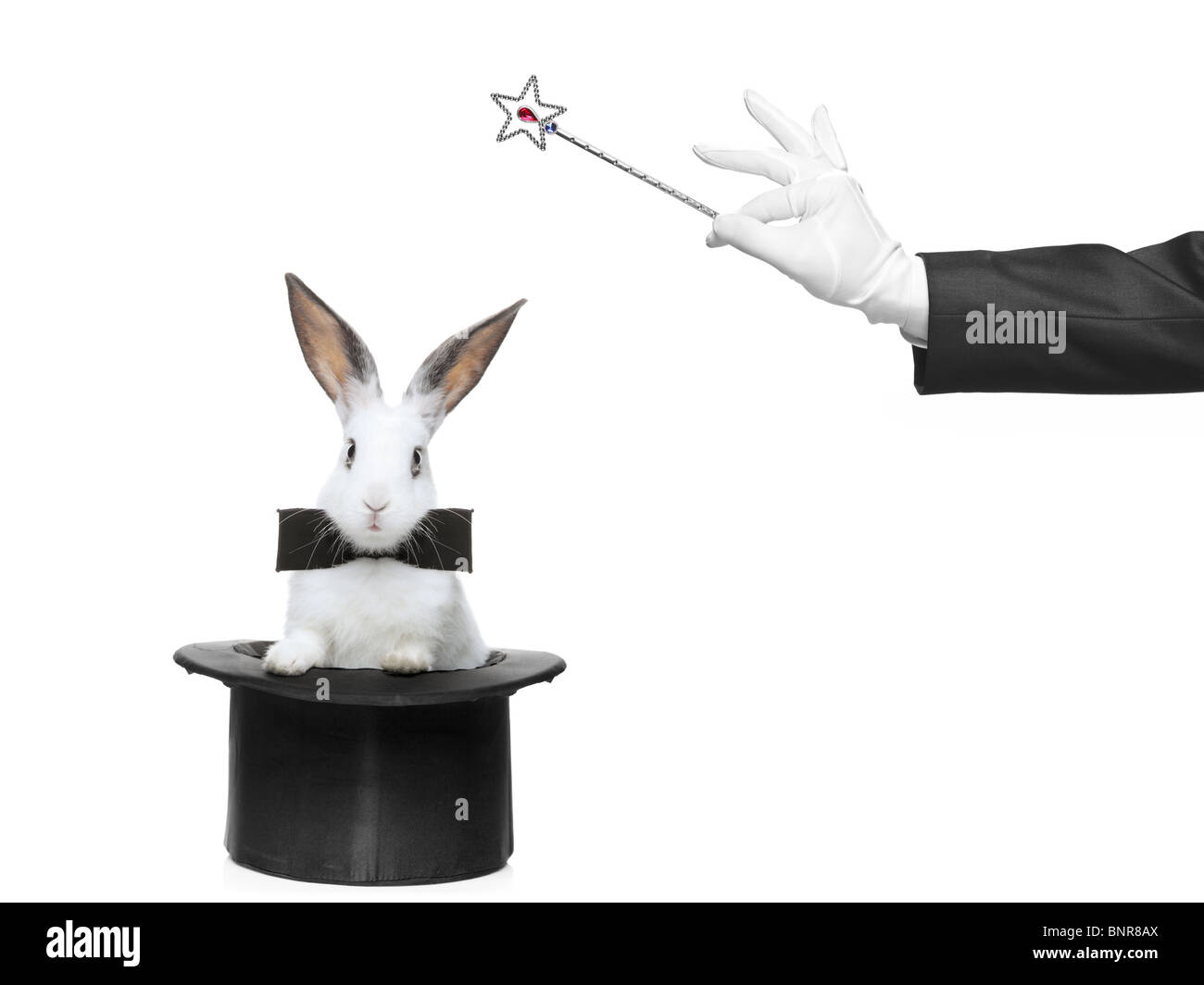 Un conejo en un sombrero y una mano sujetando una varita mágica Foto de stock