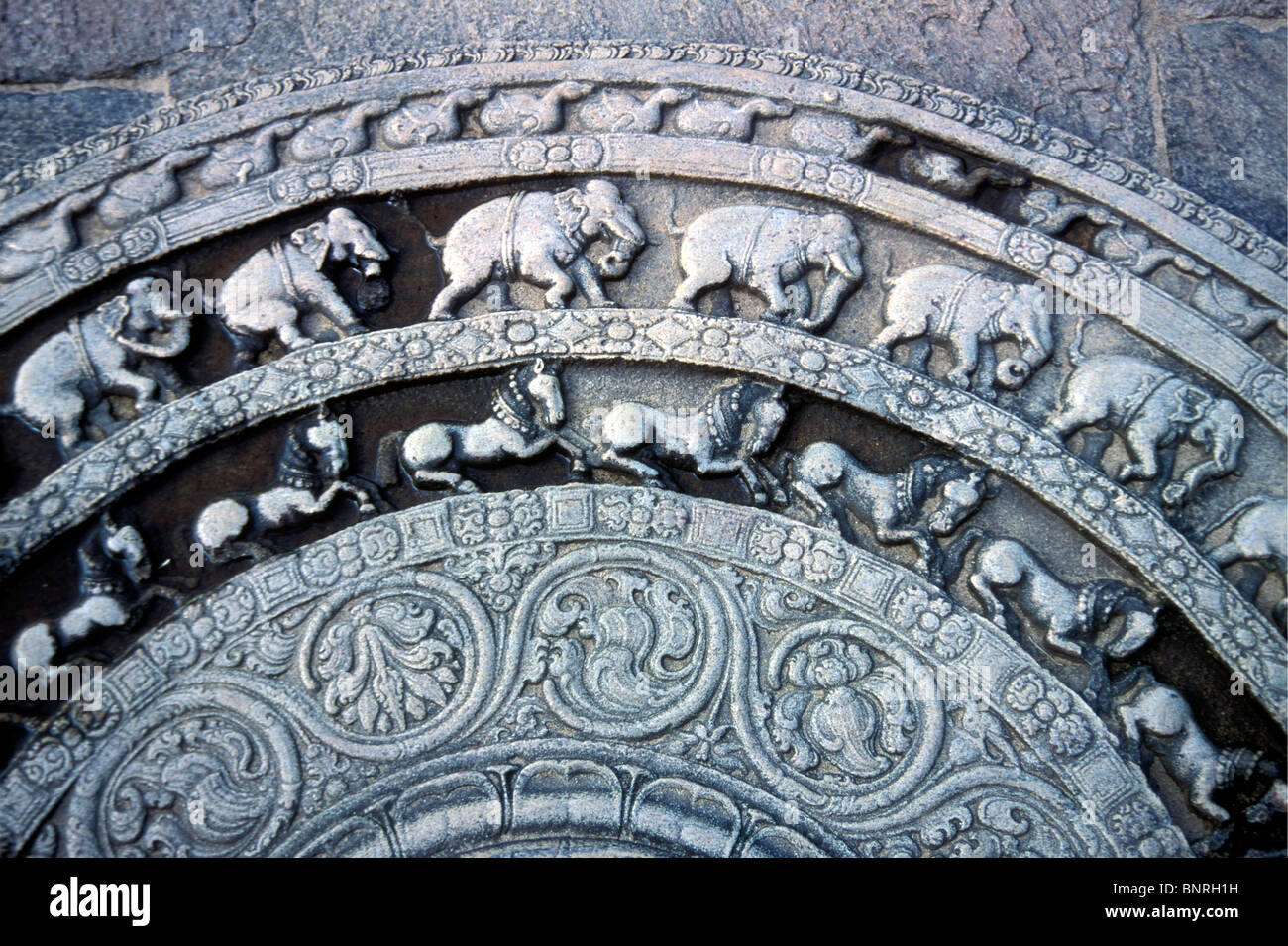 El moonstone tallando desde la antigua ciudad budista de Polonnaruwa, Sri Lanka Foto de stock