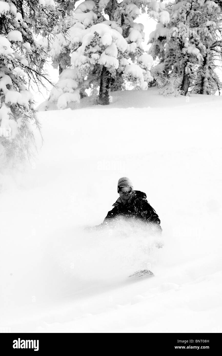 Un hombre snowboard en la nieve en polvo sobre Teton Pass. Foto de stock